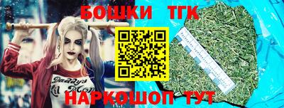 МДПВ Бийск
