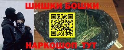 МДПВ Бийск