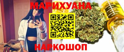 МДПВ Бийск