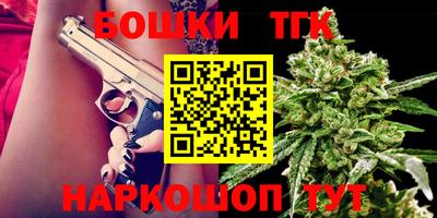 МДПВ Бийск