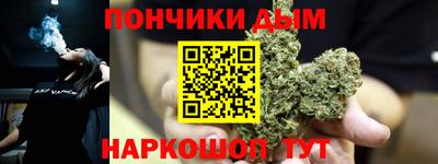 МДПВ Бийск