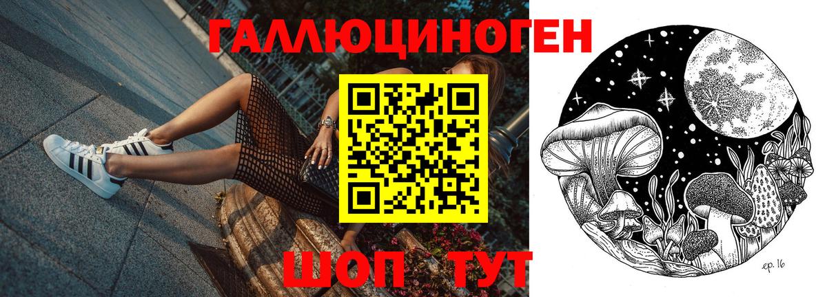 Псилоцибиновые грибы прущие грибы  Вход с VPN  Галлюциногенные грибы прущие грибы  Знаменск 